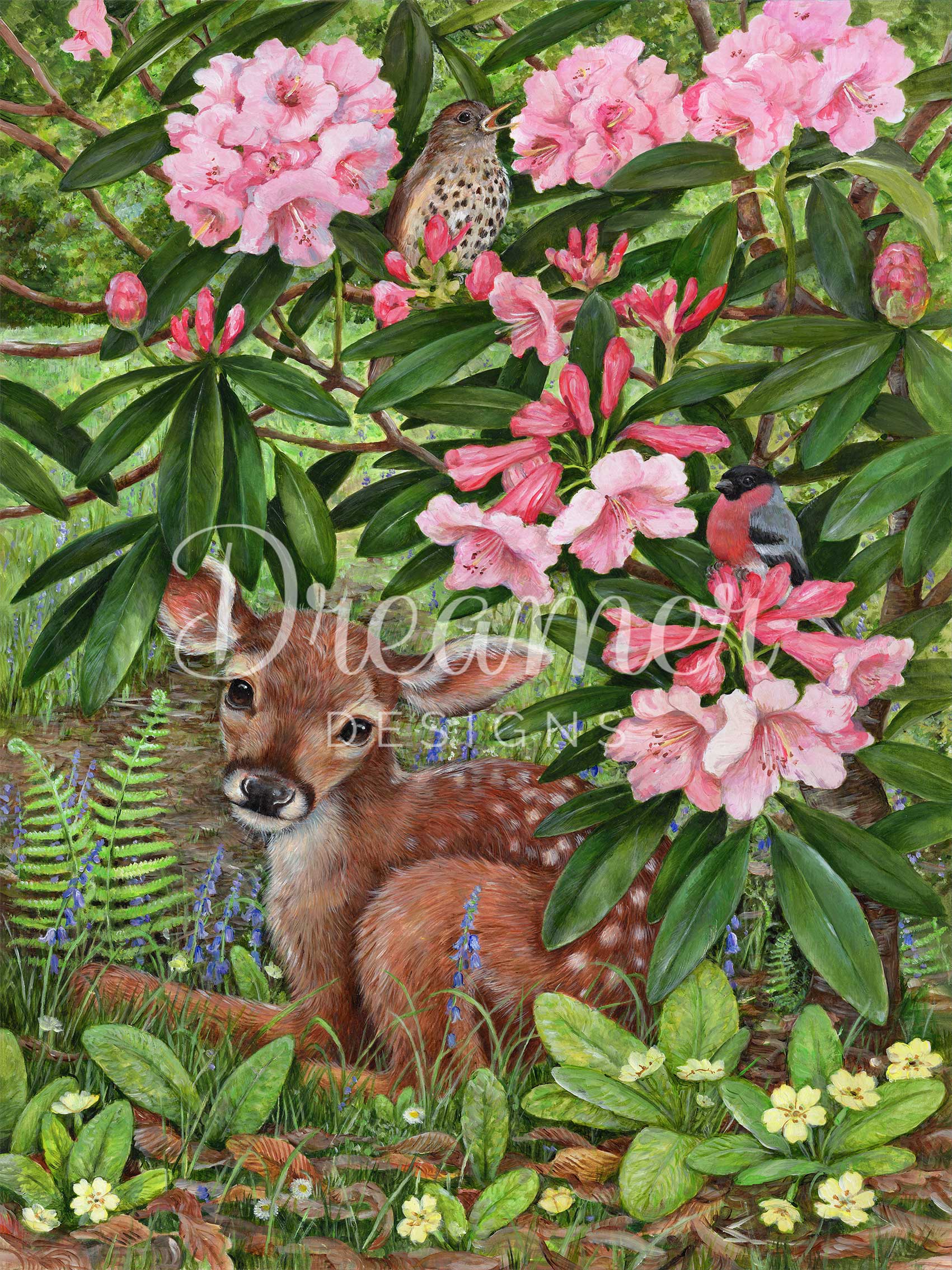 World Animal Day SALE